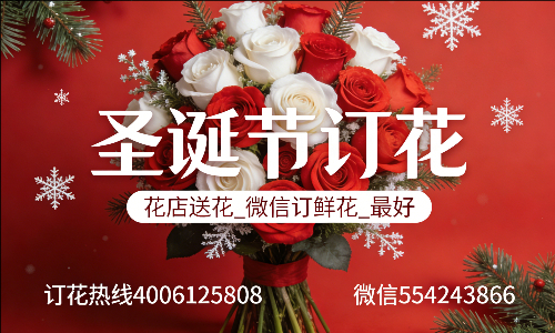 邢台巨鹿县花店送花_微信订鲜花_圣诞节订花_最好? 邢台巨鹿县花店
