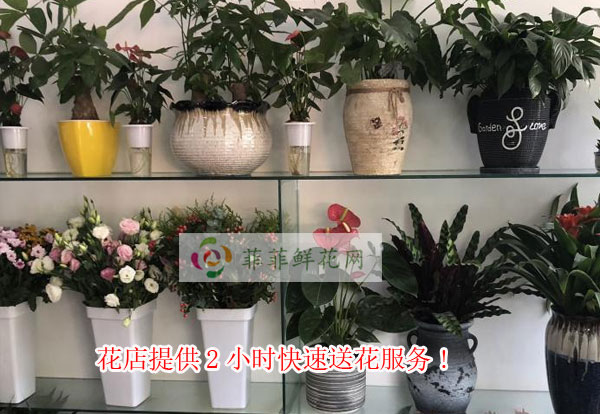 邢台巨鹿县花店提供邢台巨鹿县2小时快速送花服务